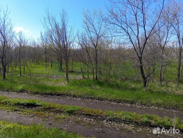 фото участка